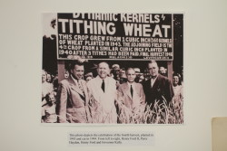 dynamic-kernels-tithing-wheat-henry-ford